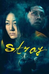 دانلود فیلم Stray 2019