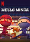 دانلود سریال Hello Ninja